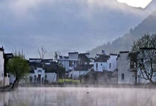 云南宴帝茶叶，品味地道普洱茶香